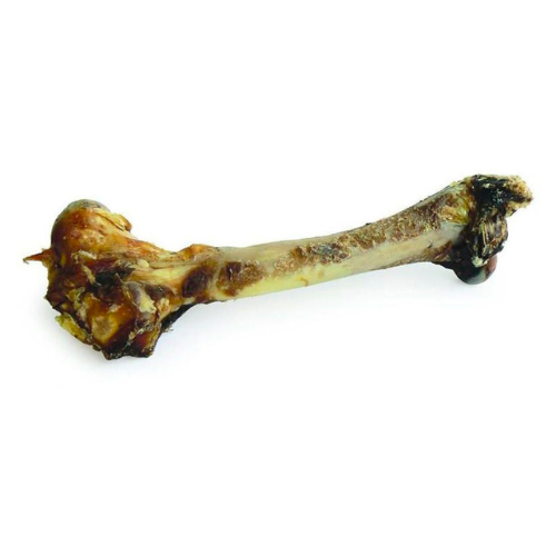 Zeal Whole Venison Shanks for Dogs (1 pc) Full Bone