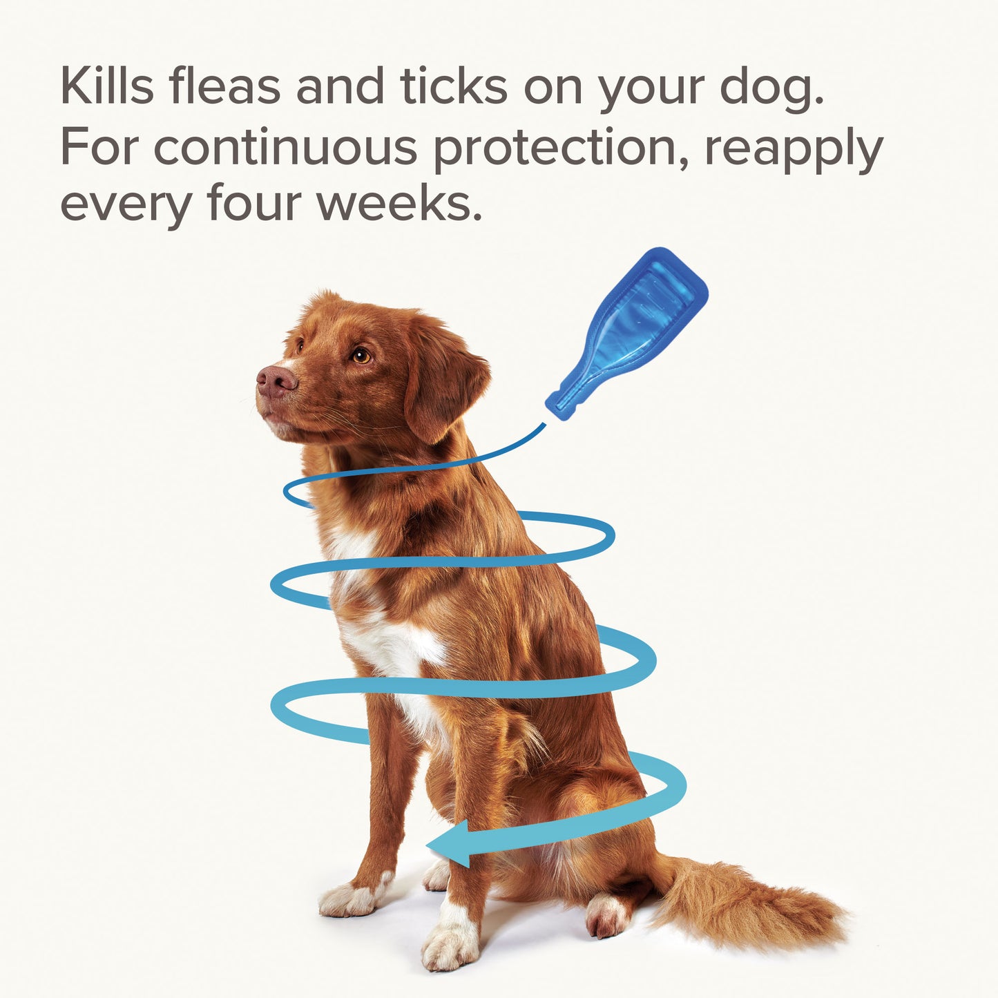 Beaphar Fiprotec for Small Dogs (Flea & Tick Treatment)