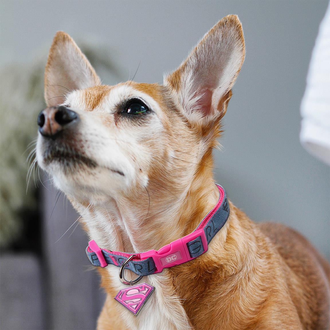 Warner Bros. Supergirl Dog Collar