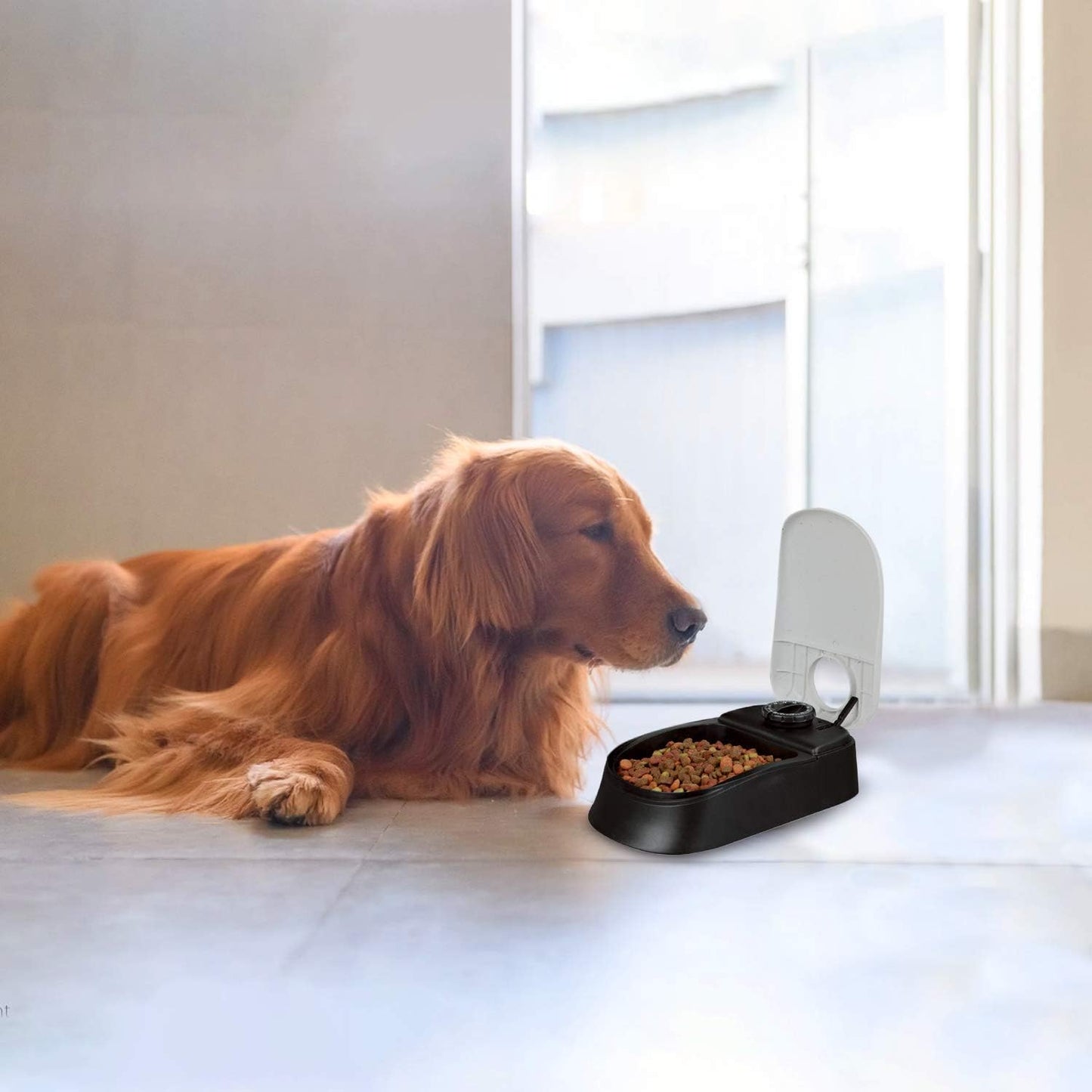 Pawise Auto Feeder For Cats and Dogs