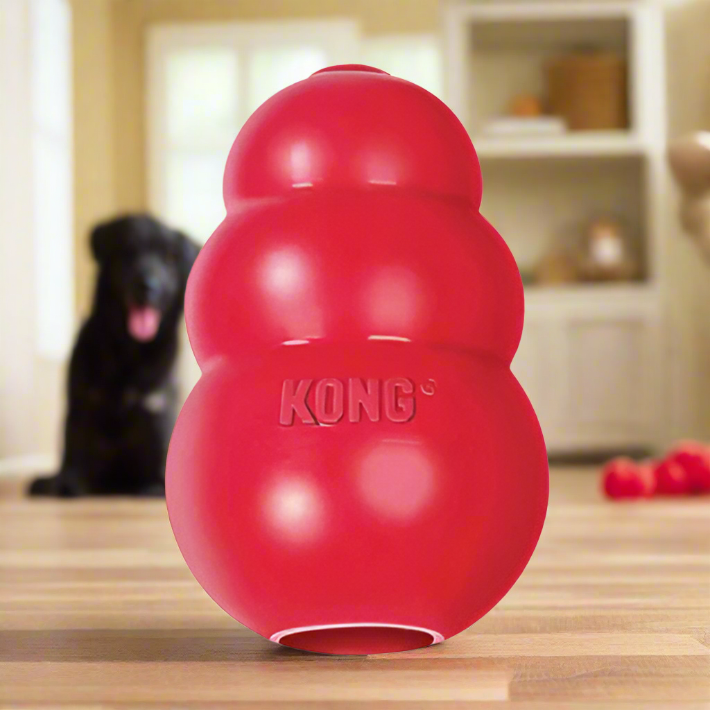 Kong Classic Dog Toy