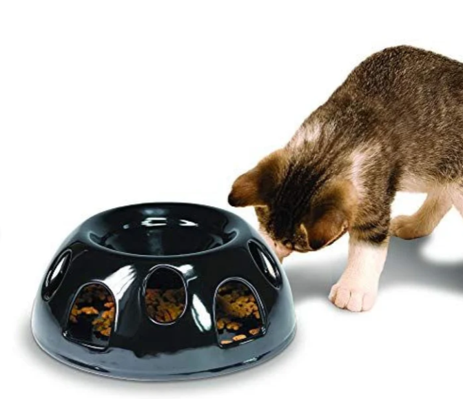 Pioneer Pet Tiger Diner-Ceramic