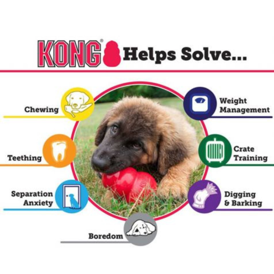 Kong Classic Dog Toy