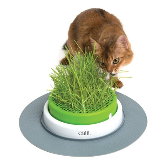 Catit Senses 2.0 Grass Planter