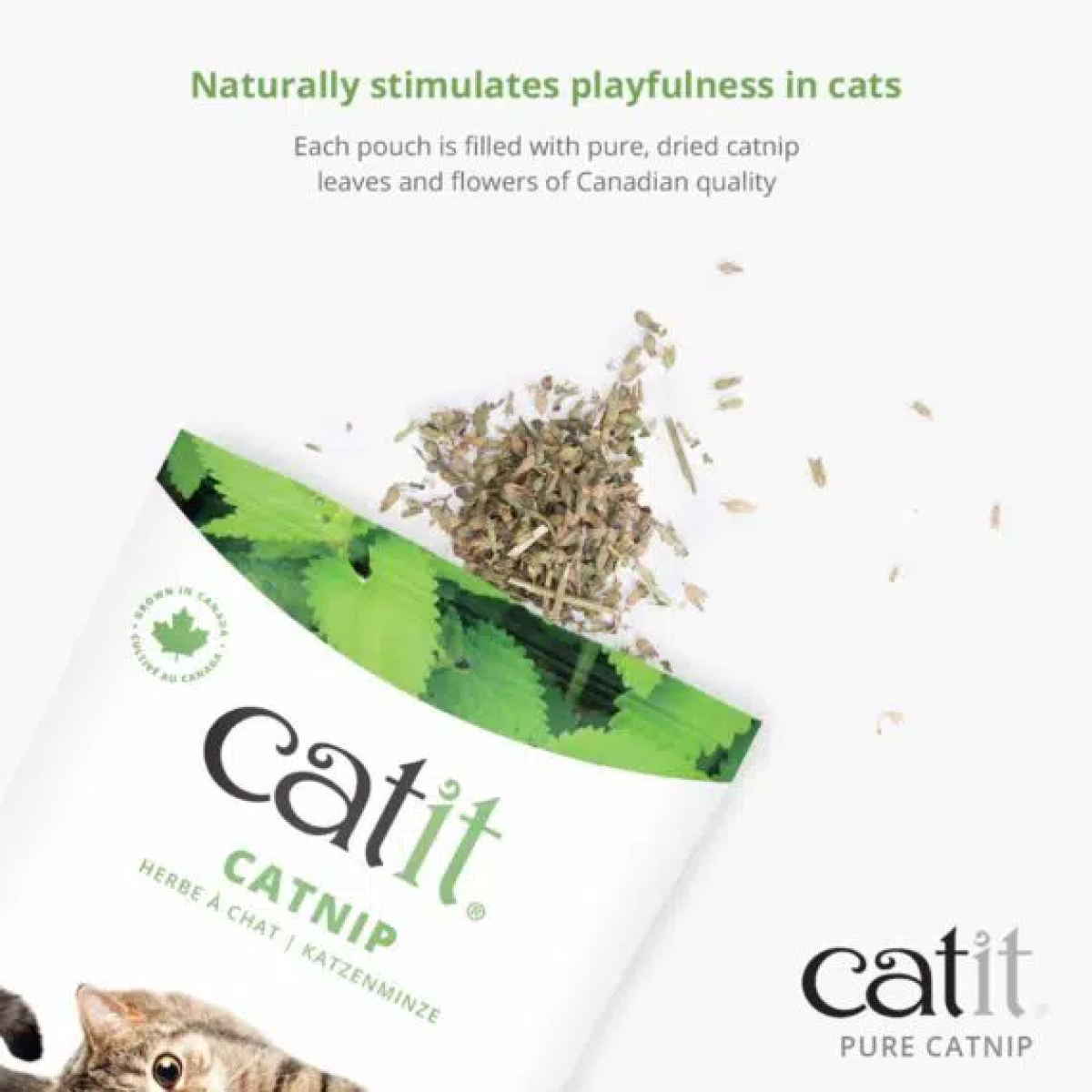 Catit Dried Catnip 28g