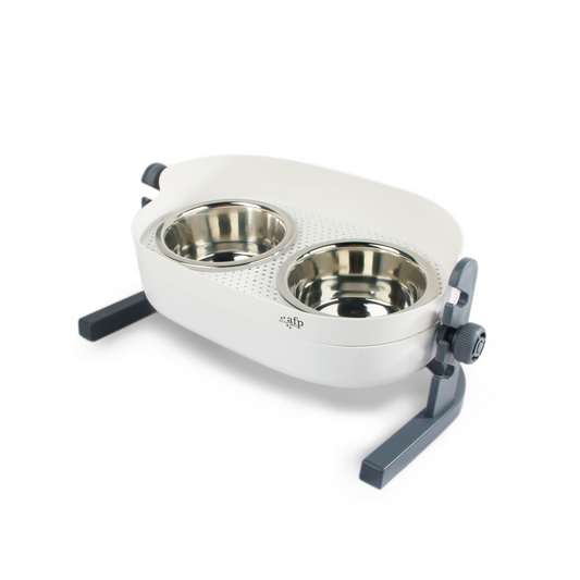 All for Paws 3-in-1 Elevated Double Dinner - Medium