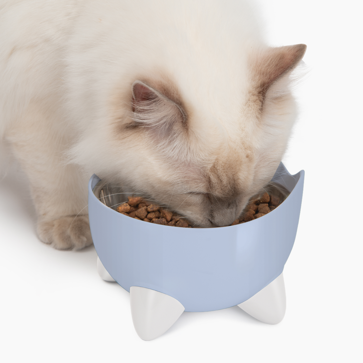 CatIt Pixi Drinking Fountain & Feeding Bowl - Combo Pack