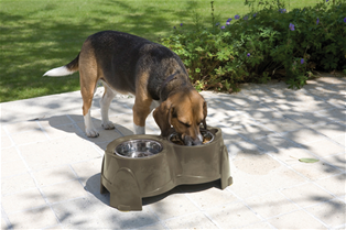 Savic Ergo Feeder for Dogs