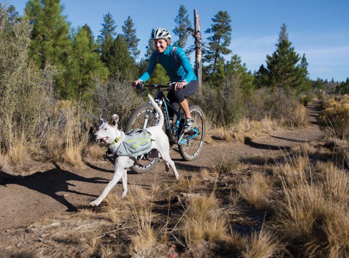 Ruffwear Singletrak Pack