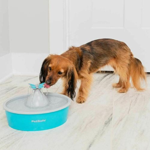 PetSafe Drinkwell Butterfly Drinking Fountain