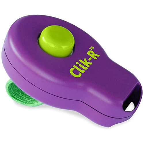 PetSafe Clik-R Training Tool for Dogs