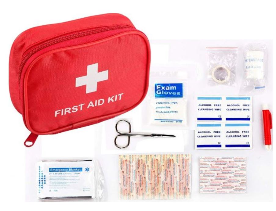 Pawise First Aid Kit for Pets