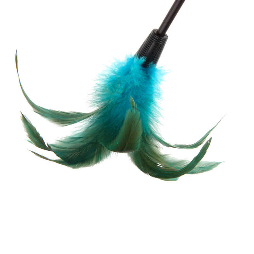 GiGwi Catwand Feather Teaser w/ Natural Feather & TPR Handle