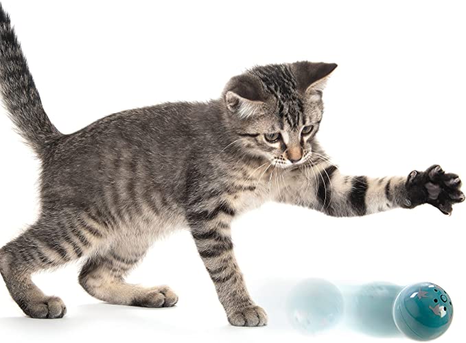 Worldwise Petlinks Kitty Catch Sound Ball Toy