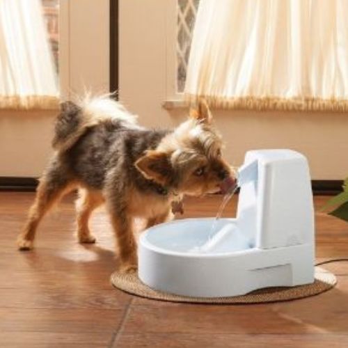 Petsafe Drinkwell Original Water Fountain