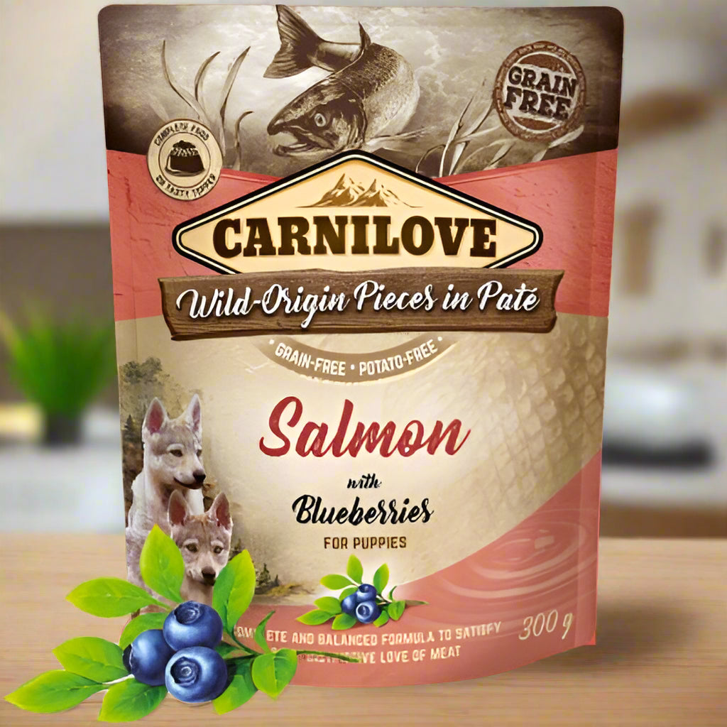 Carnilove Salmon with Blueberries Wet Food for Puppies  300g