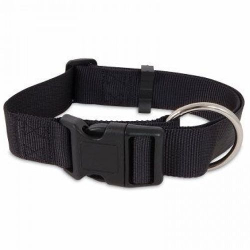 Petmate Nylon Adjustable Dog Collar