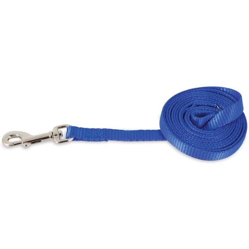 Petmate Aspen Nylon Dog Lead