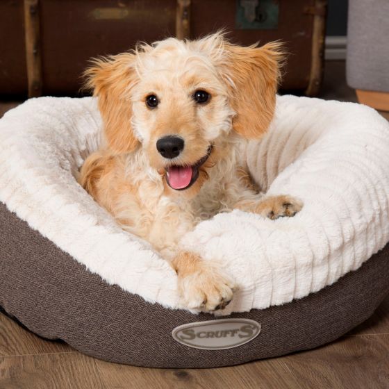 Scruffs Ellen Donut Dog Bed