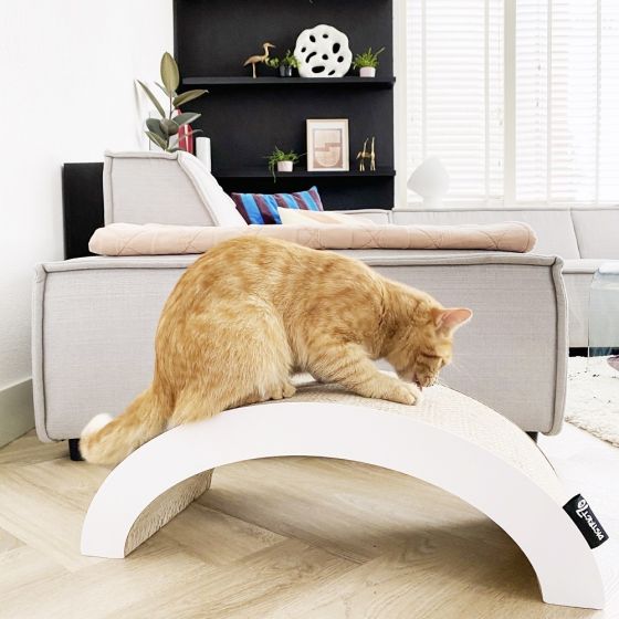 District 70 Arch Cardboard Cat Scratcher