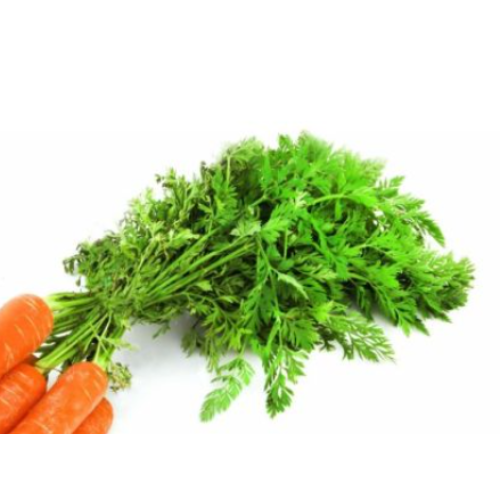 Carrot Leaves  200g